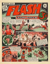 Large Thumbnail For Flash 7