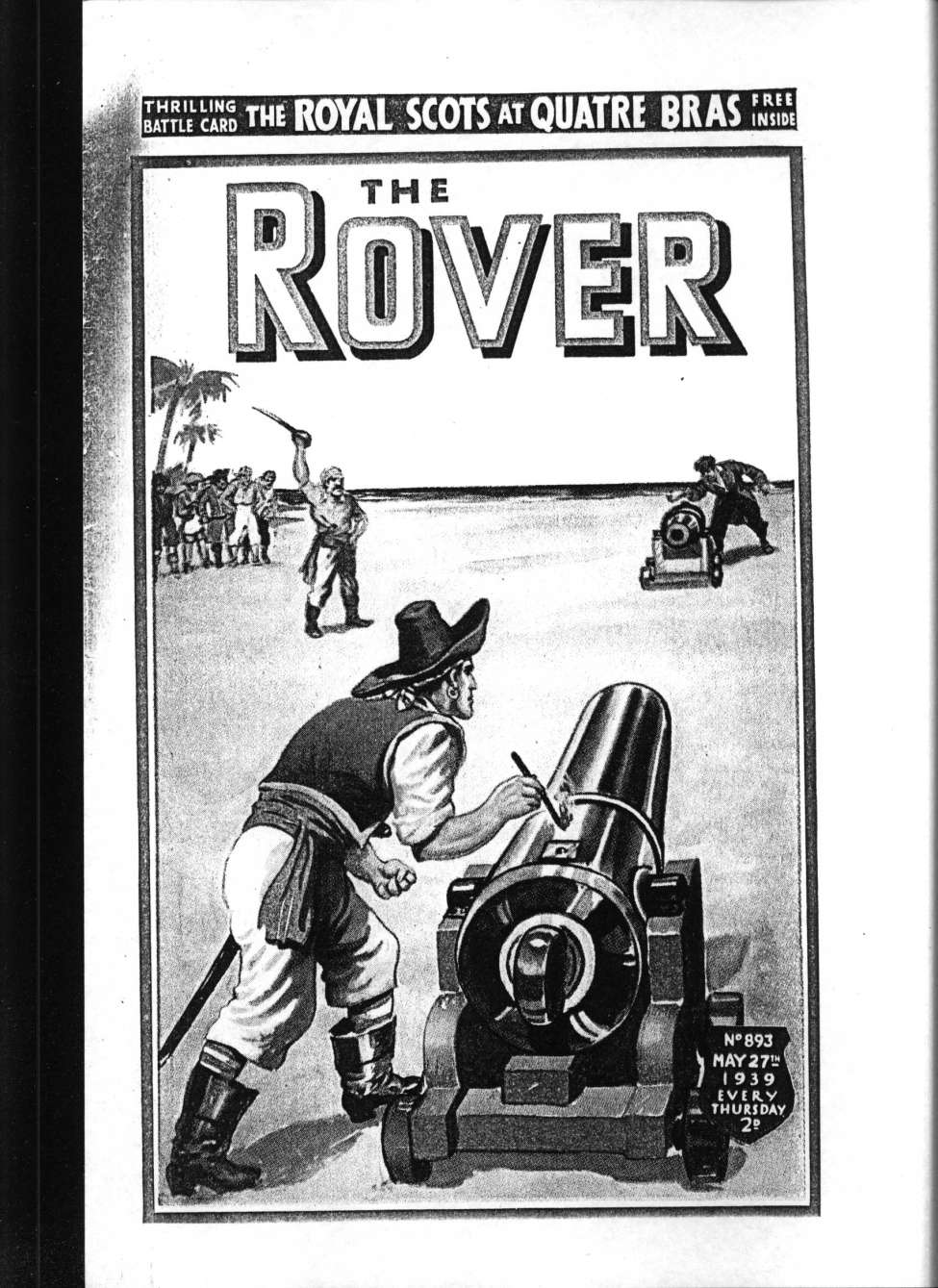 Book Cover For The Rover 893