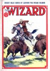 Cover For The Wizard 552