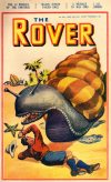 Cover For The Rover 1001