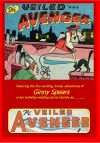 Cover For The Veiled Avenger