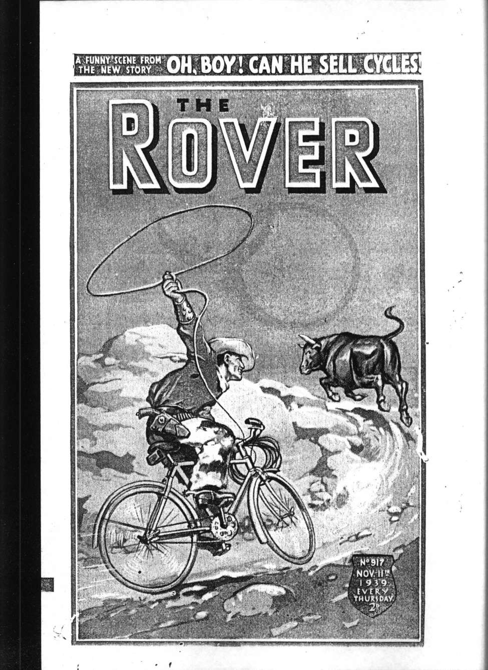 Book Cover For The Rover 917