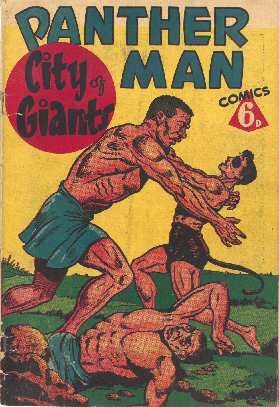 Book Cover For Panther Man - City of Giants