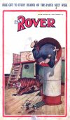 Cover For The Rover 614