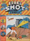 Cover For Big Shot 16