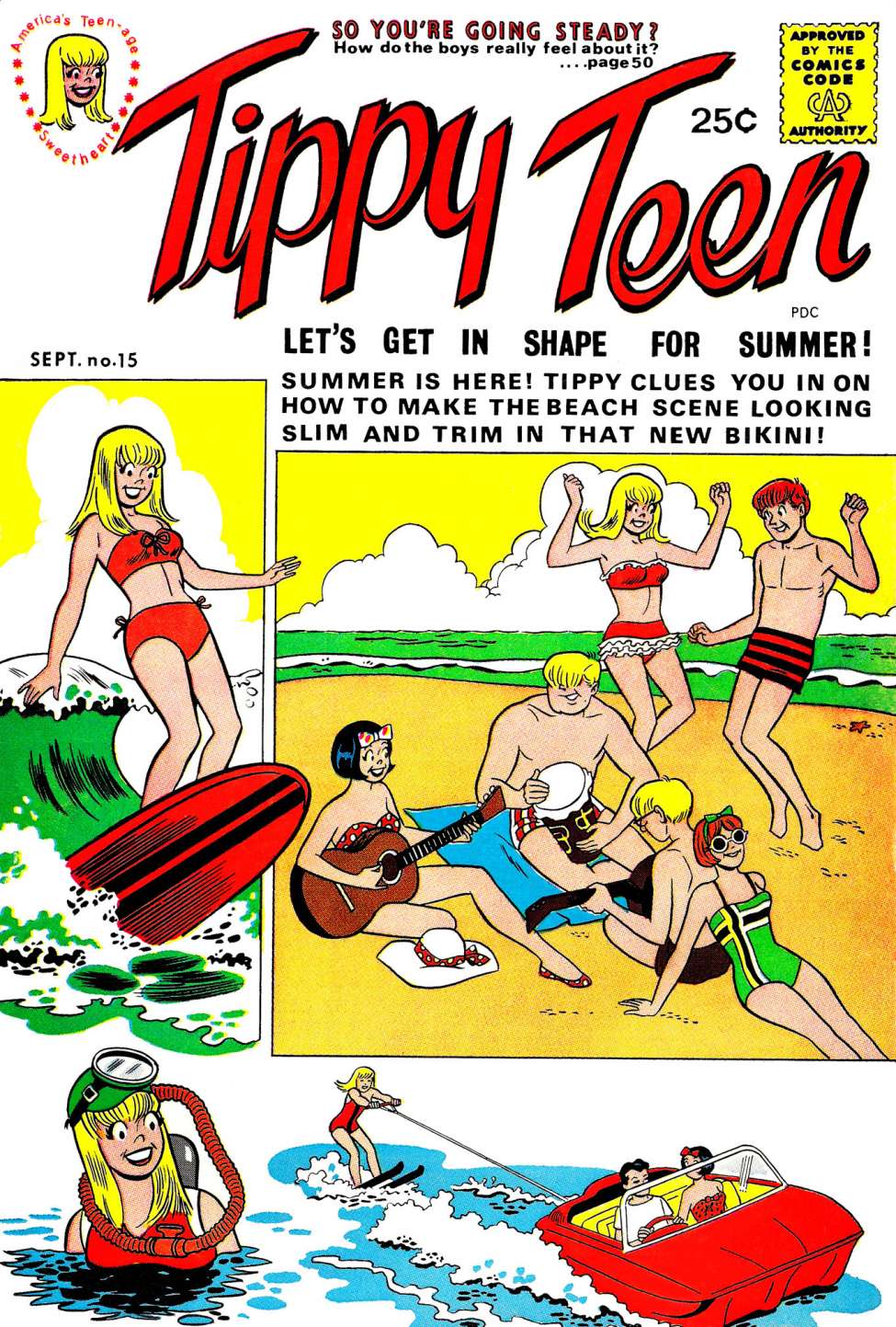 Book Cover For Tippy Teen 15