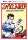 Cover For The Wizard 577