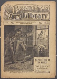 Large Thumbnail For Beadle's Half Dime Library 549 - Capt. Crimson Cowl, the Road Raider