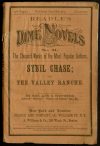 Cover For Beadle's Dime Novels 21 - Sybil Chase