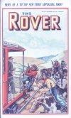 Cover For The Rover 1017