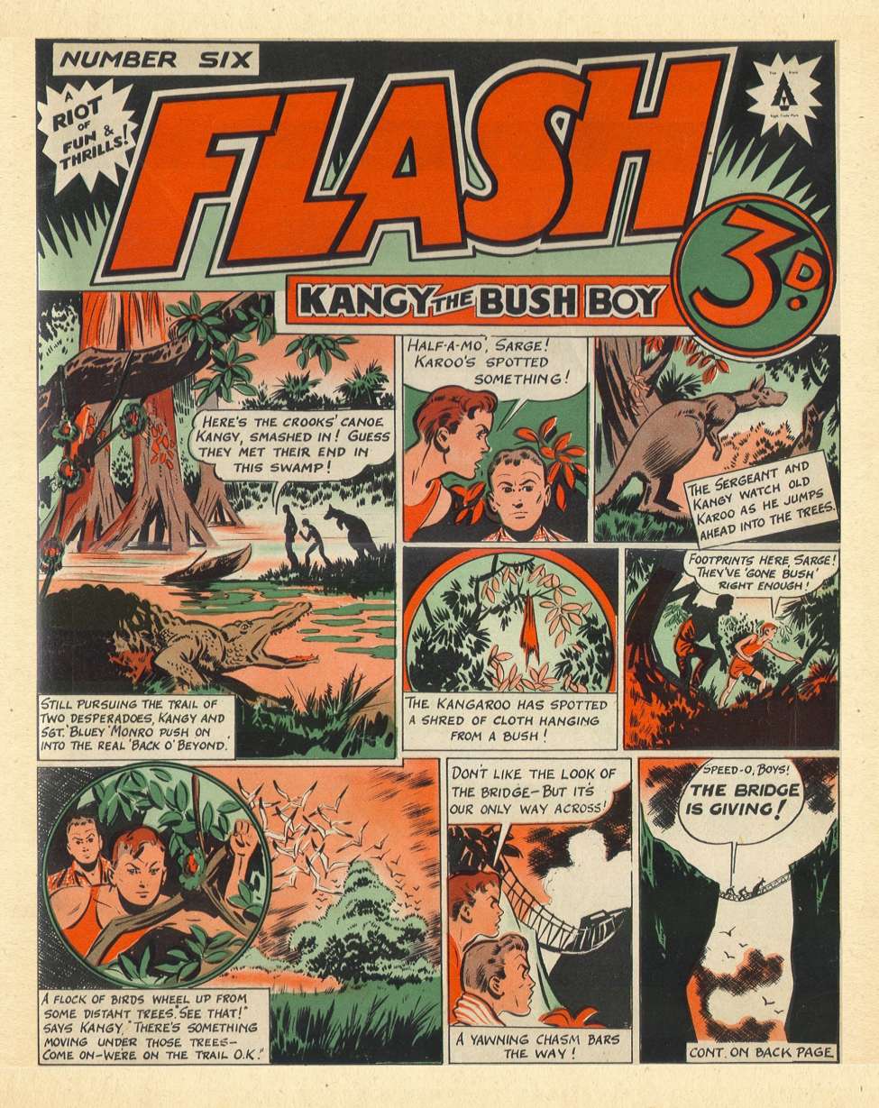 Comic Book Cover For Flash 6