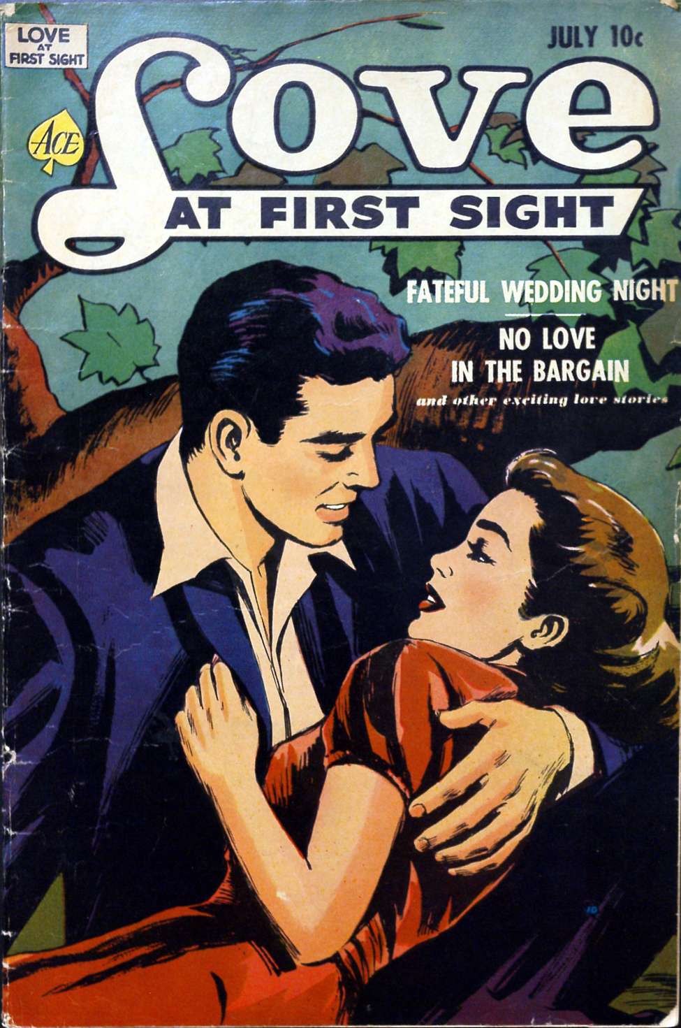 Book Cover For Love at First Sight 16