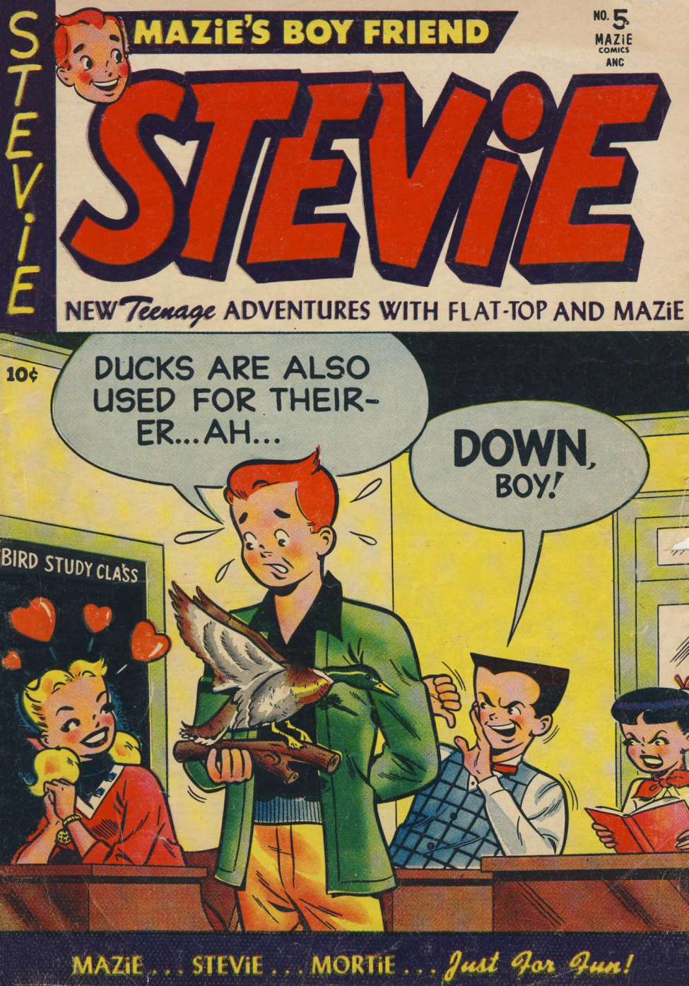 Book Cover For Stevie 5 - Version 1