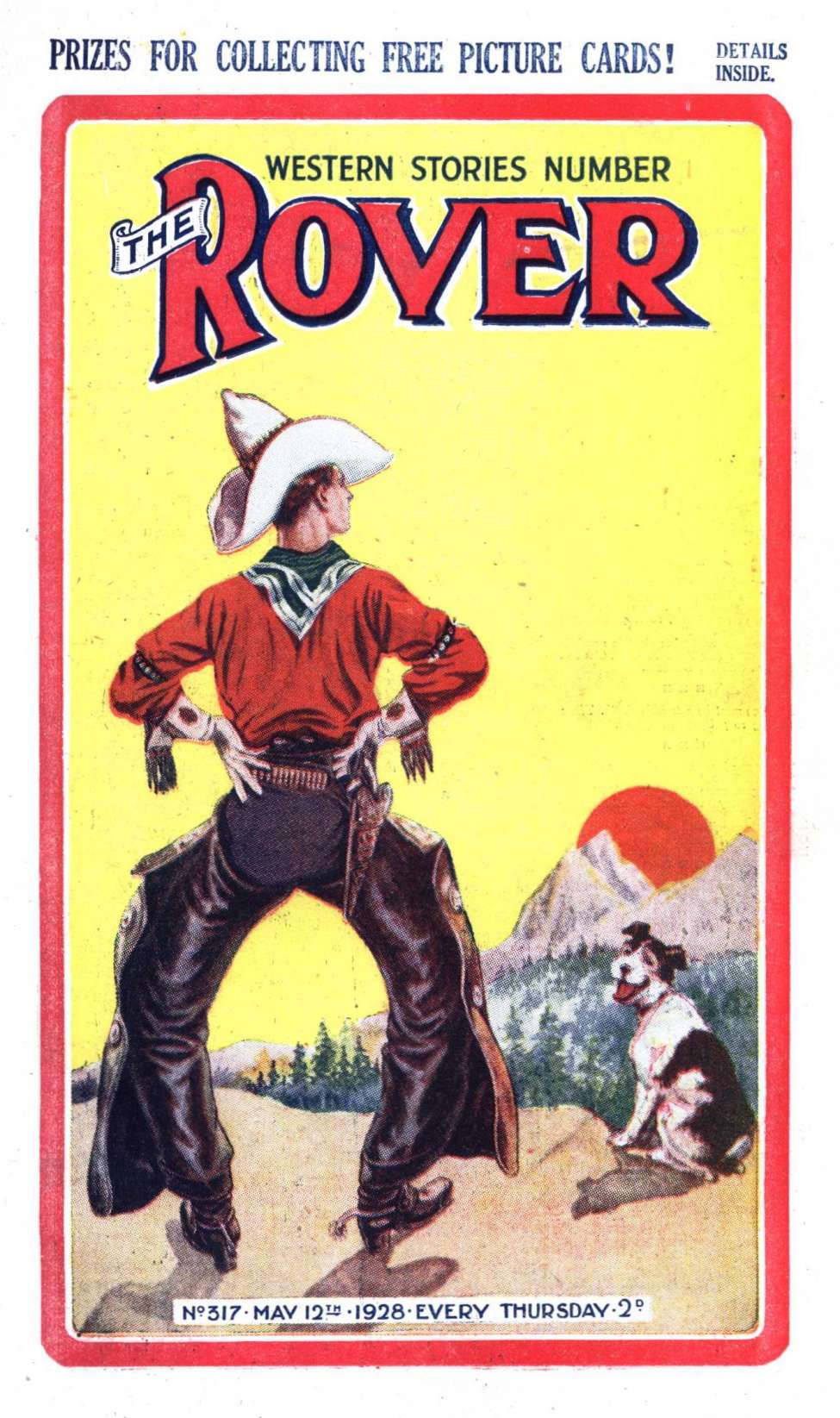 Book Cover For The Rover 317