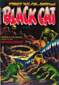Large Thumbnail For Black Cat 47 (Mystery)