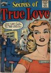 Cover For Secrets of True Love 1