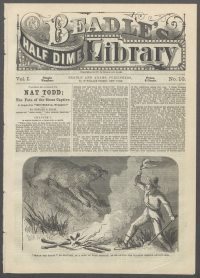 Large Thumbnail For Beadle's Half Dime Library 10 - Nat Todd