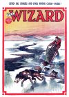 Cover For The Wizard 602