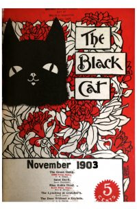 Large Thumbnail For The Black Cat v9 2 - The Green Gamp - F. E. Chase