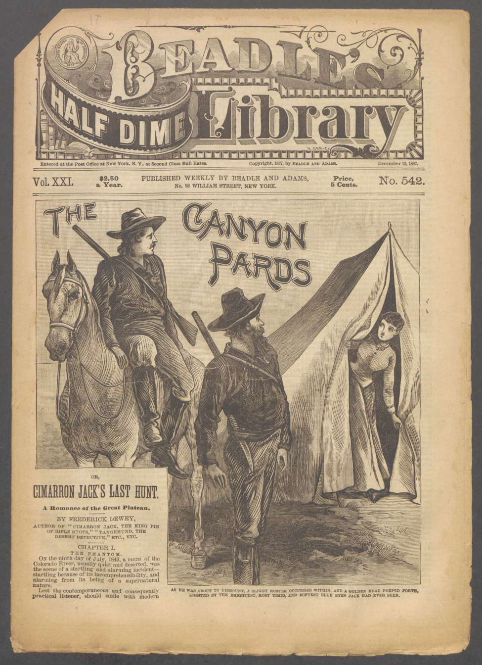 Book Cover For Beadle's Half Dime Library 542 - The Canyon Pards
