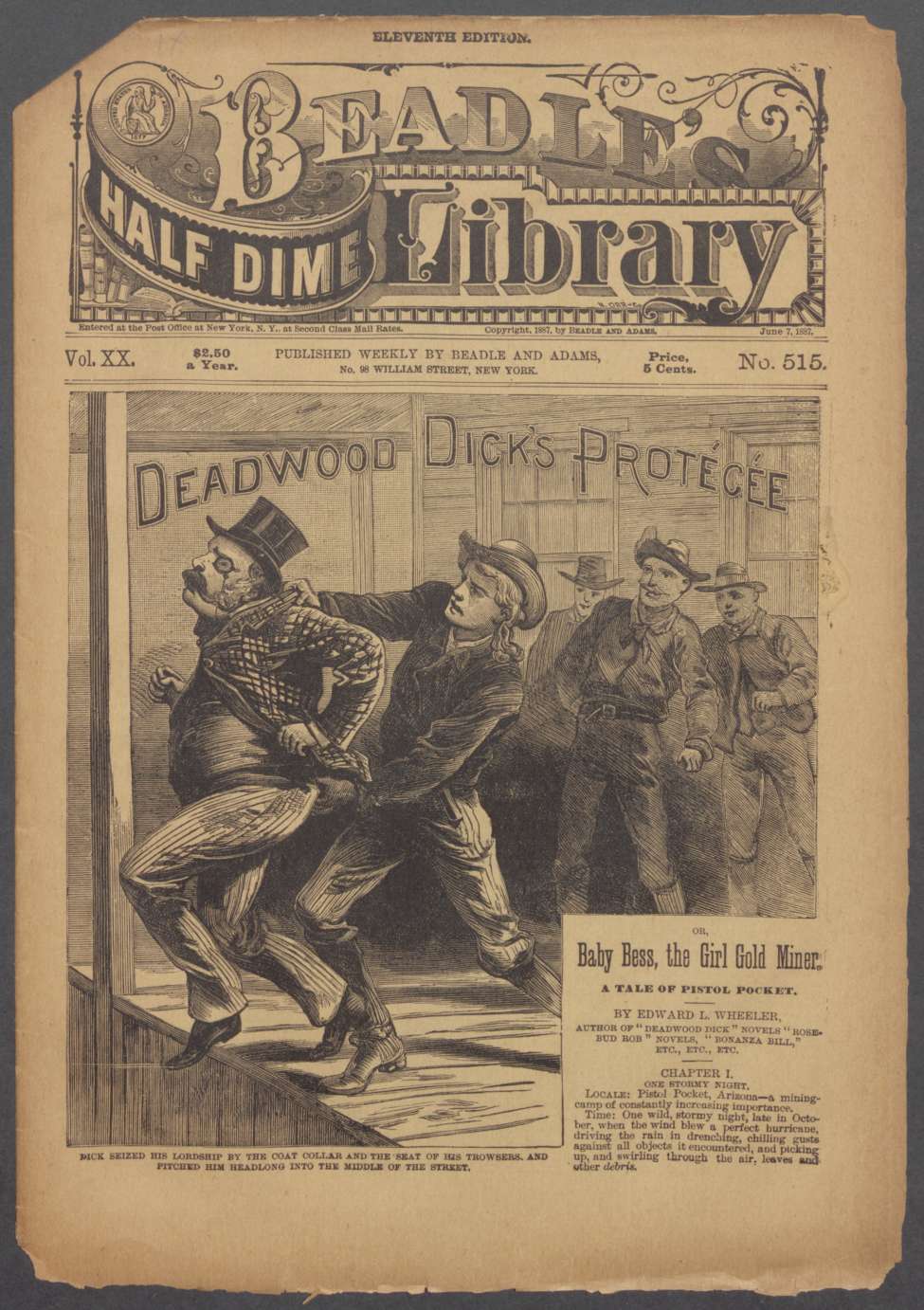 Book Cover For Beadle's Half Dime Library 515 - Deadwood Dick's Protegee