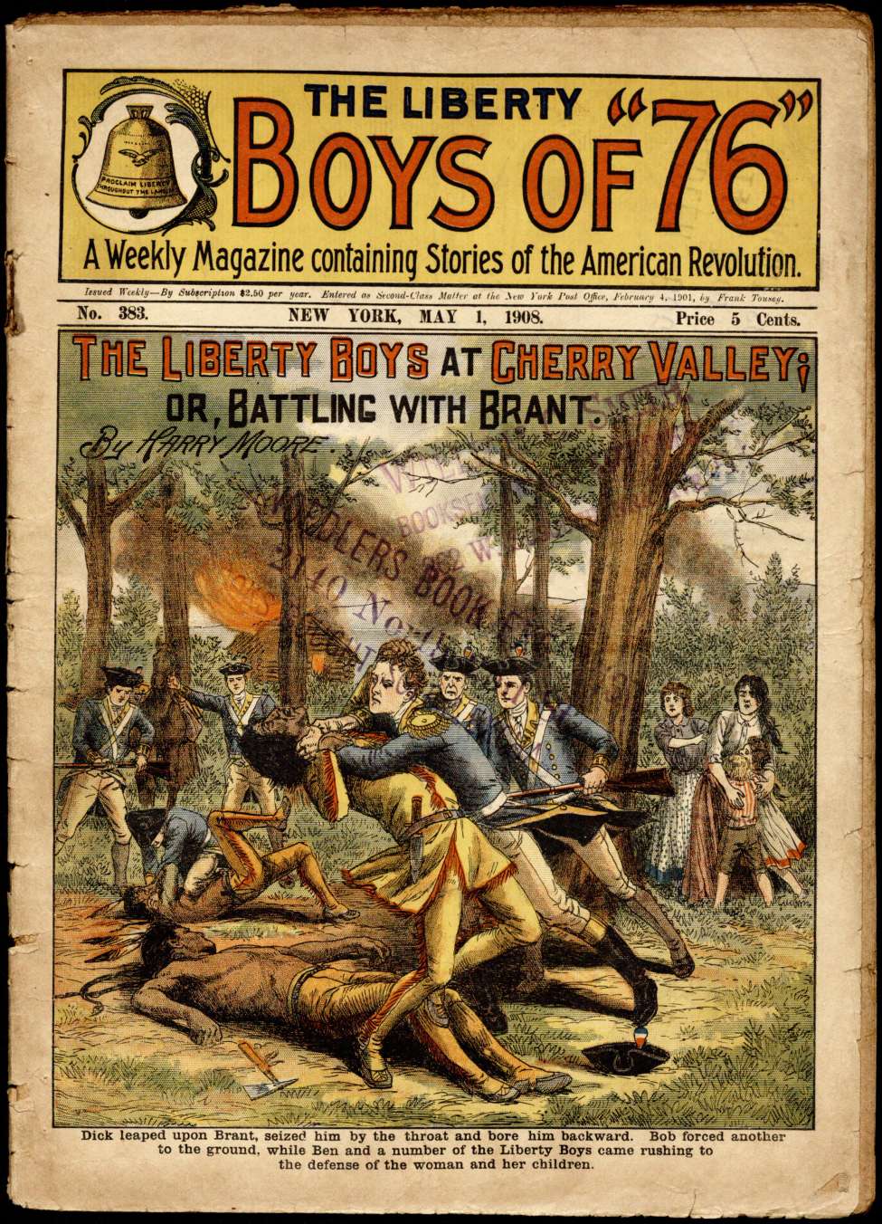 Book Cover For The Liberty Boys of 76 383 - The Liberty Boys at Cherry Valley