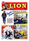 Cover For Lion 440