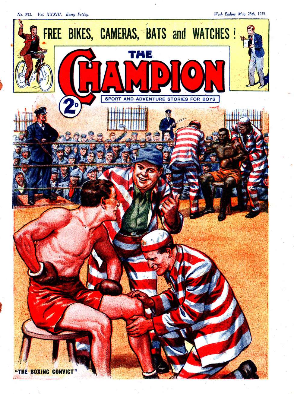 Book Cover For The Champion 852