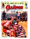 Cover For The Champion 852