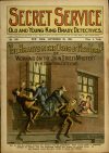 Cover For Secret Service 139 - The Bradys in the Dens of New York