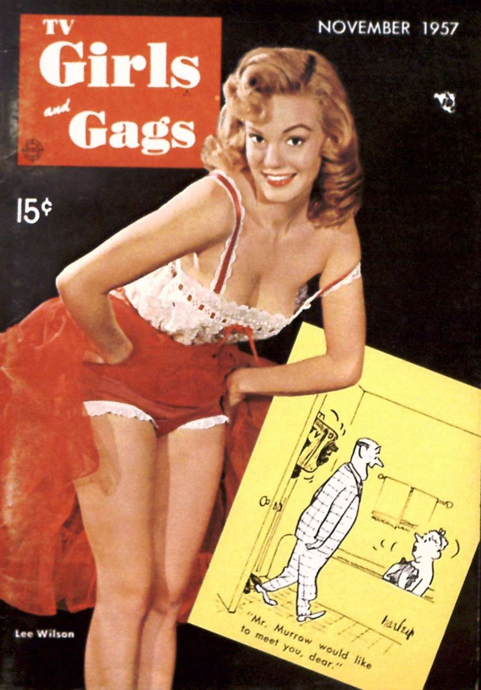 Comic Book Cover For TV Girls and Gags v4 6