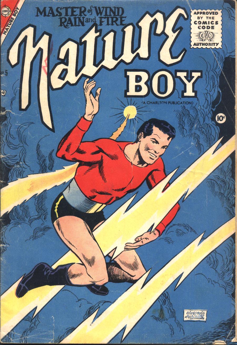 Comic Book Cover For Nature Boy 5