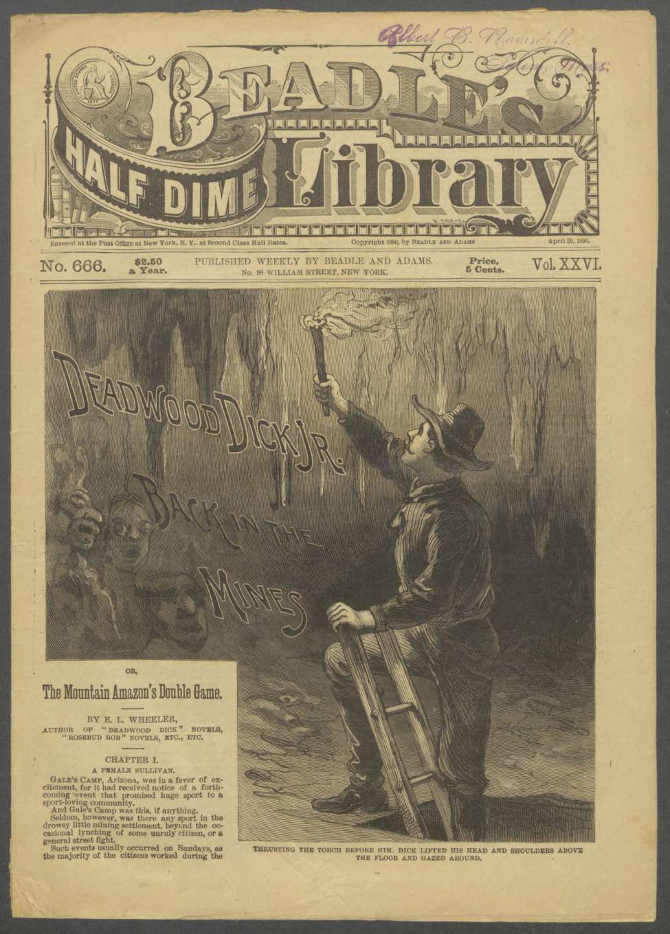 Book Cover For Beadle's Half Dime Library 666 - Deadwood Dick Jr. Back in the Mines