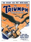 Cover For The Triumph 342