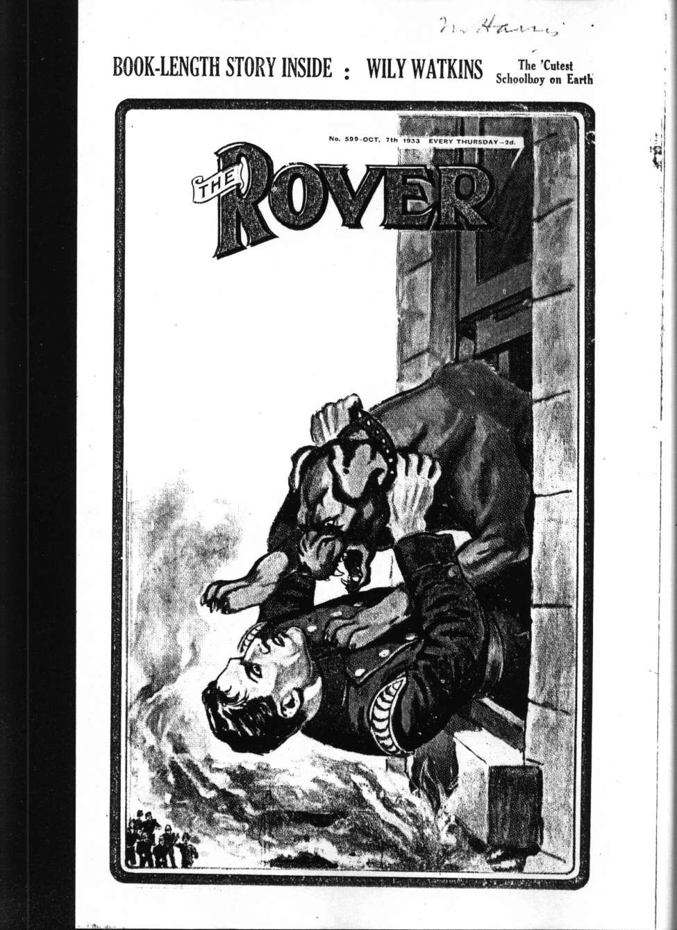 Book Cover For The Rover 599