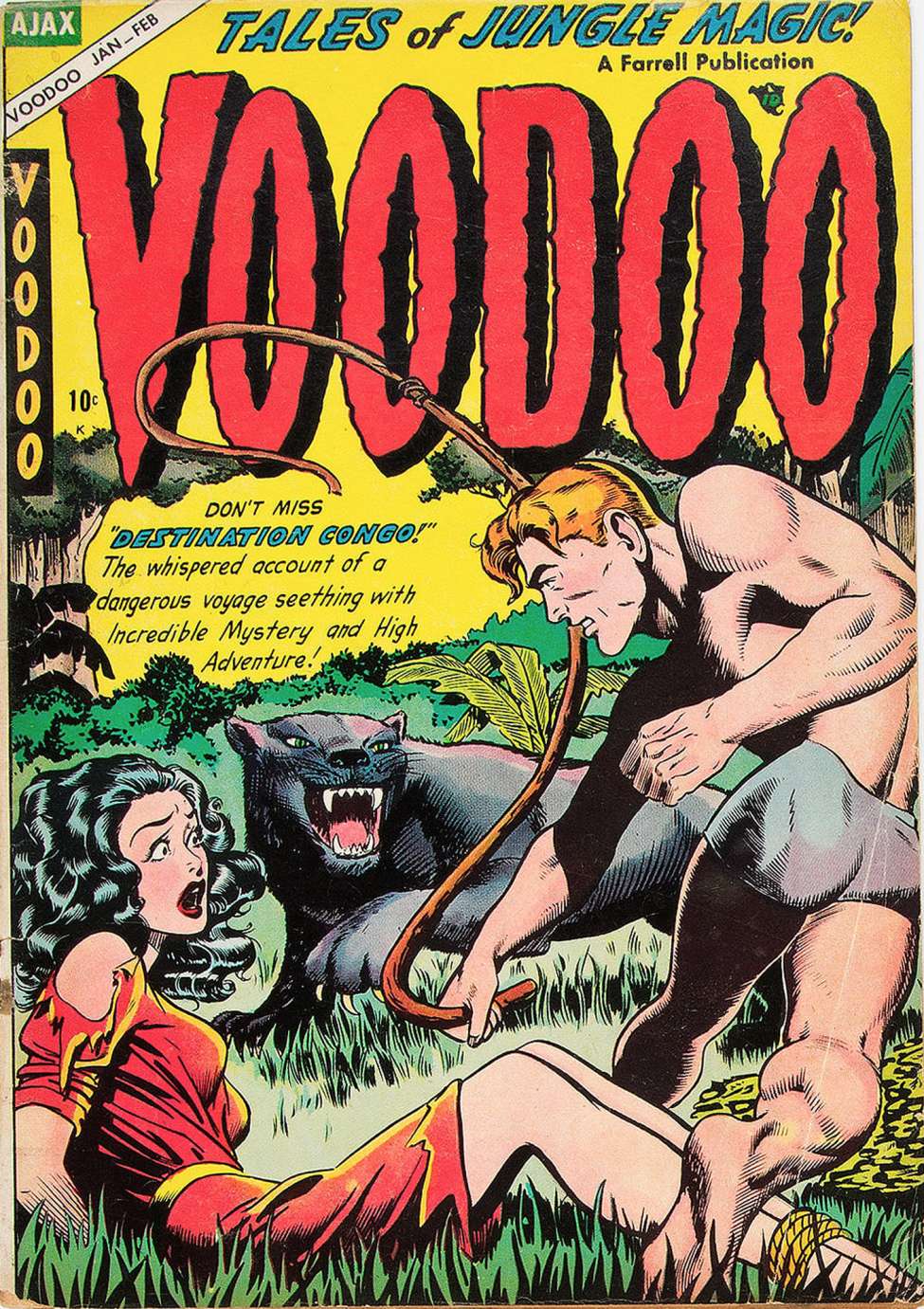 Book Cover For Voodoo 19 - Version 1