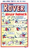 Cover For The Rover 1049