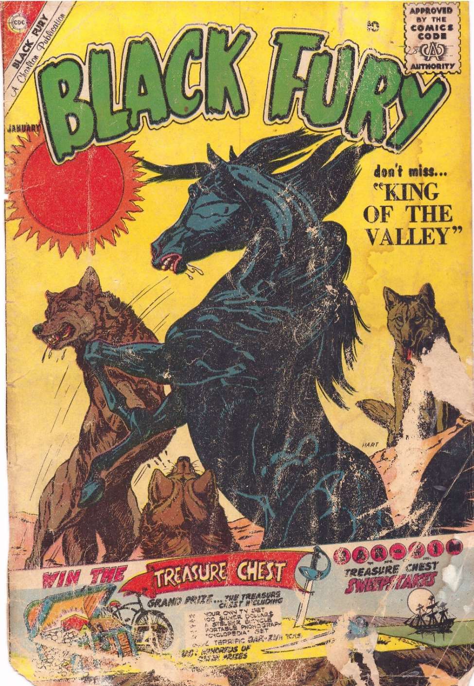 Comic Book Cover For Black Fury 28