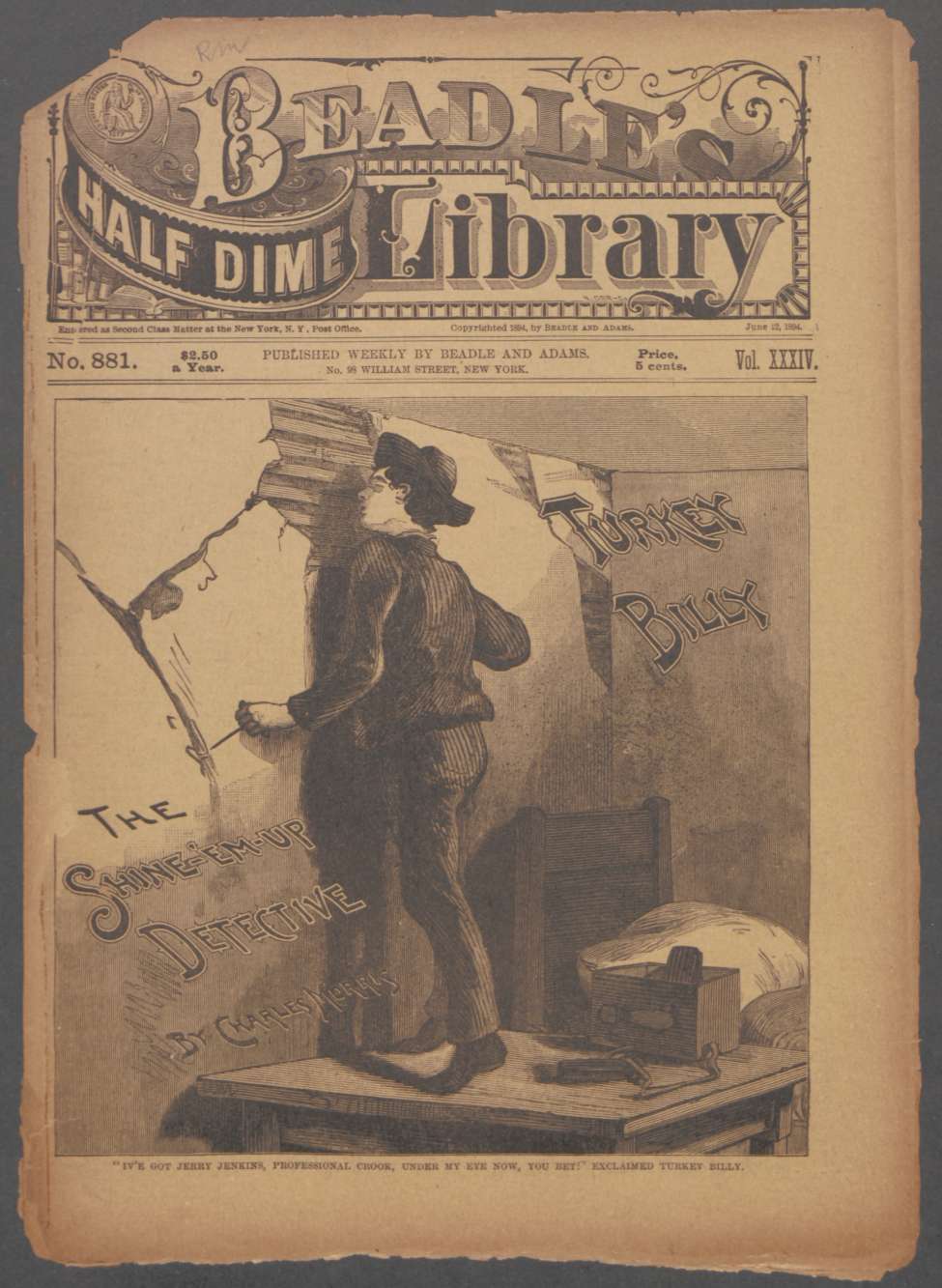 Book Cover For Beadle's Half Dime Library 881 - Turkey Billy, the Shine-'em-up Detective