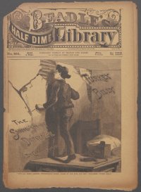 Large Thumbnail For Beadle's Half Dime Library 881 - Turkey Billy, the Shine-'em-up Detective