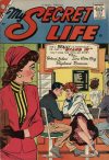 Cover For My Secret Life 28