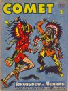 Cover For The Comet 265