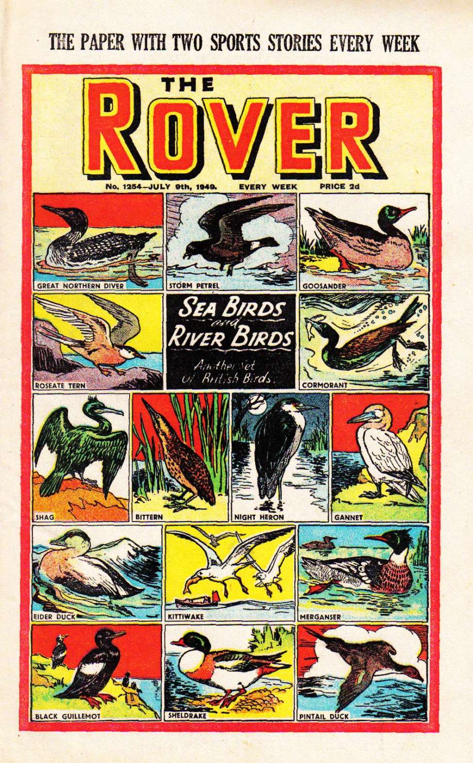 Book Cover For The Rover 1254