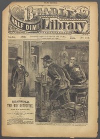 Large Thumbnail For Beadle's Half Dime Library 513 - The Demon Doctor