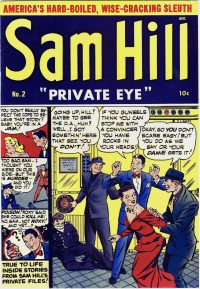 Large Thumbnail For Sam Hill Private Eye 2