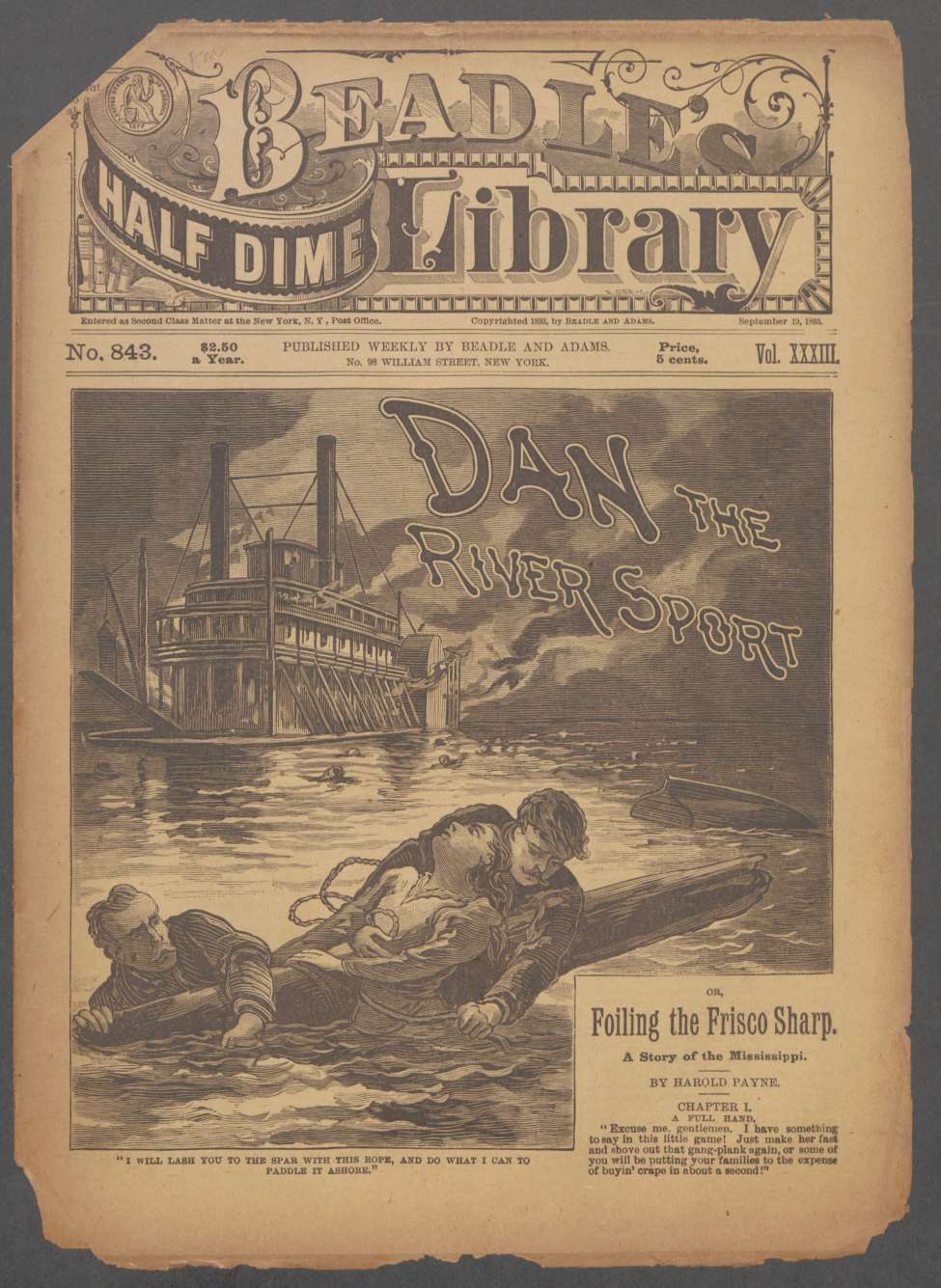 Book Cover For Beadle's Half Dime Library 843 - Dan, the River Sport