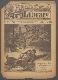 Large Thumbnail For Beadle's Half Dime Library 843 - Dan, the River Sport