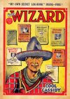 Cover For The Wizard 580