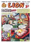 Cover For Lion 64