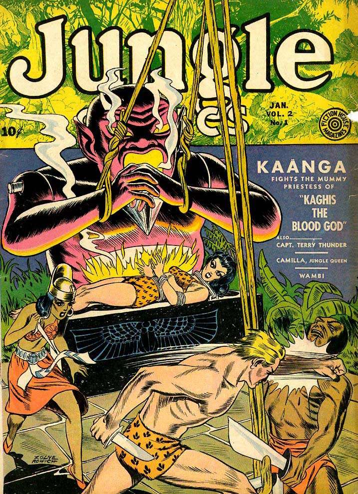 Book Cover For Jungle Comics 25